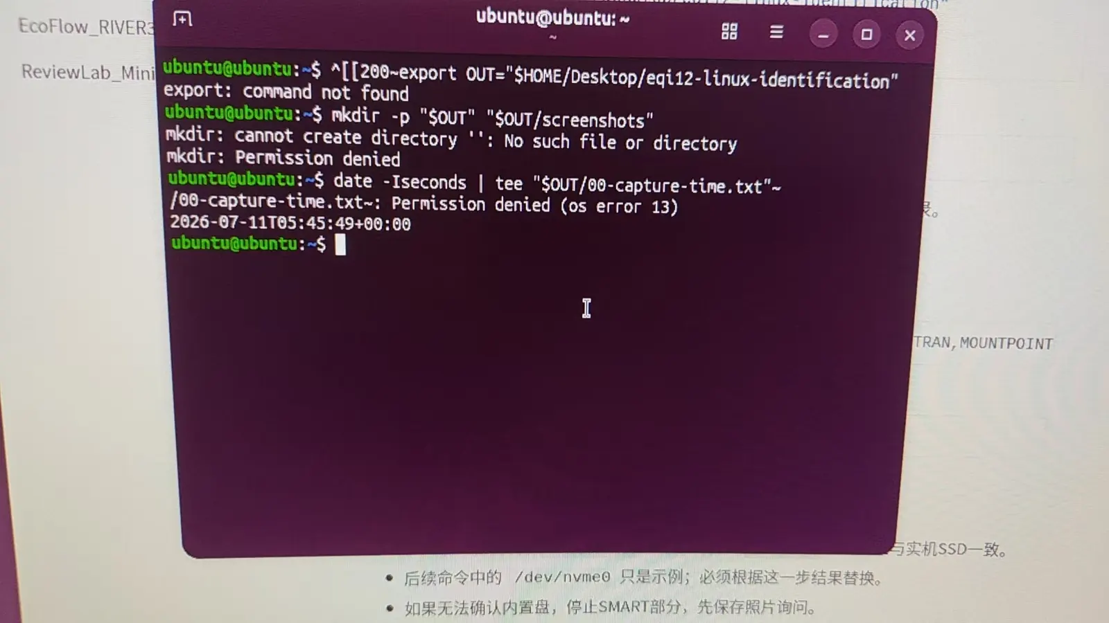 Terminal paste control-character error in Ubuntu live session on the Beelink EQi12